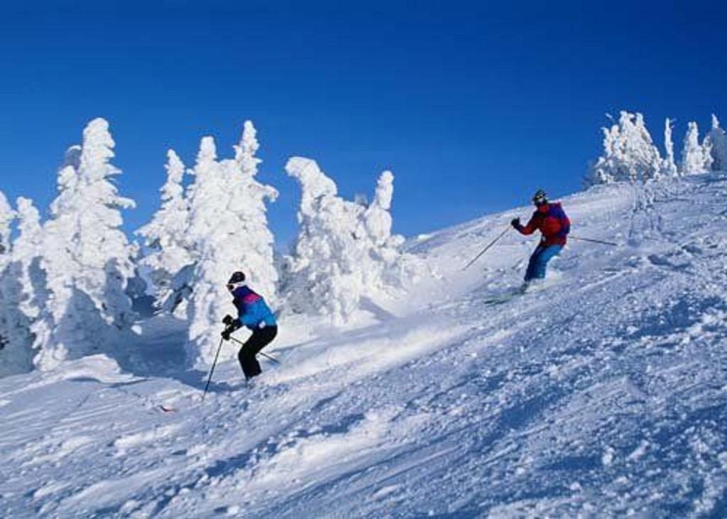Chateau Resort & Conference Center Tannersville Facilidades foto